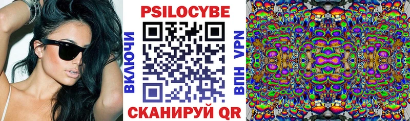 Галлюциногенные грибы Cubensis  где купить наркоту  mega как войти  Черкесск 